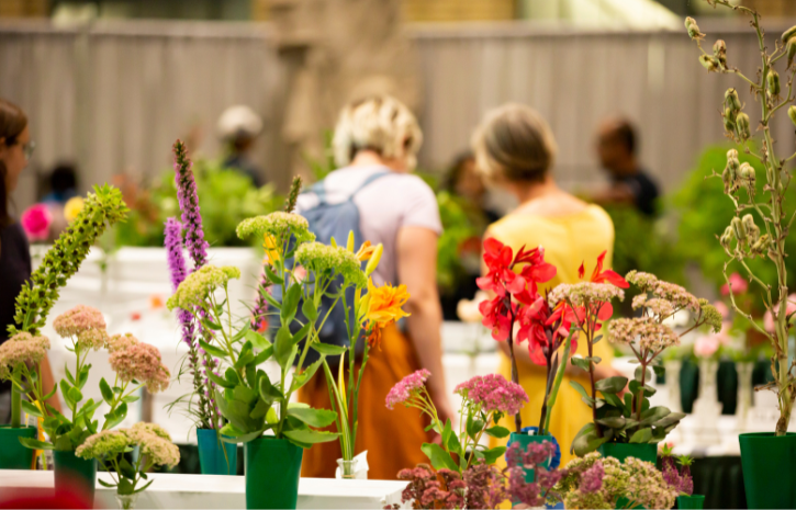 Photo of flowers featured in the CNE Garden Show